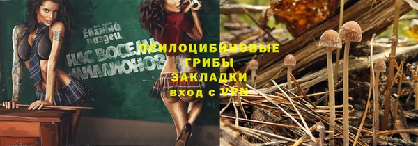 mix Надым