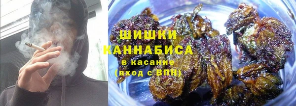 стафф Белокуриха