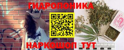 индика Нягань