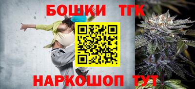индика Нягань