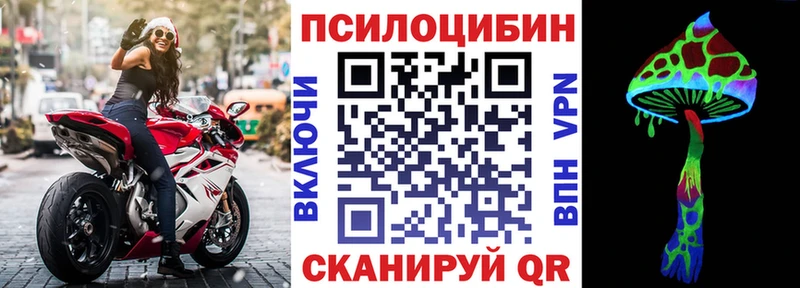 blacksprut онион  Соль-Илецк  Псилоцибиновые грибы мицелий 