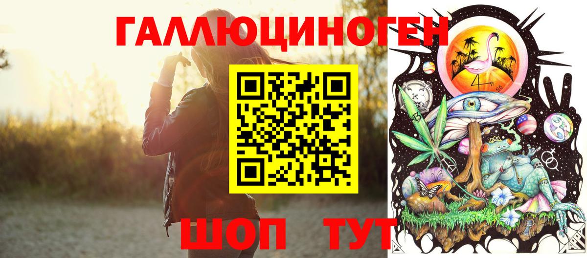 Соль-Илецк  Псилоцибиновые грибы прущие грибы  Вход с VPN  Галлюциногенные грибы мицелий 