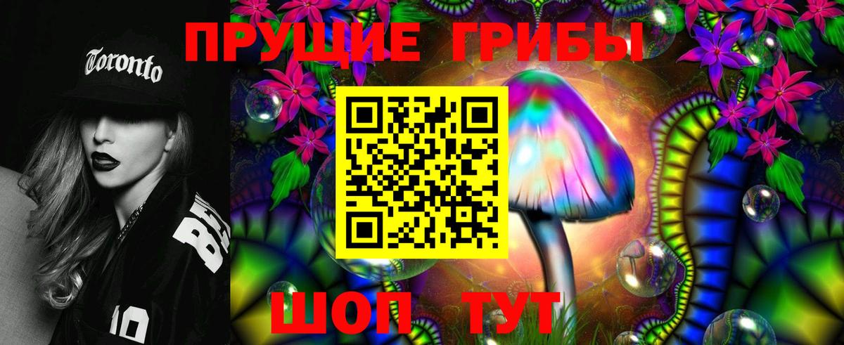 Псилоцибиновые грибы Psilocybine cubensis Соль-Илецк
